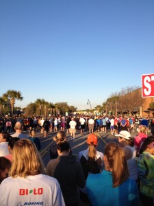 bridgerun-2013 (5)